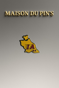 Pin's IA 84